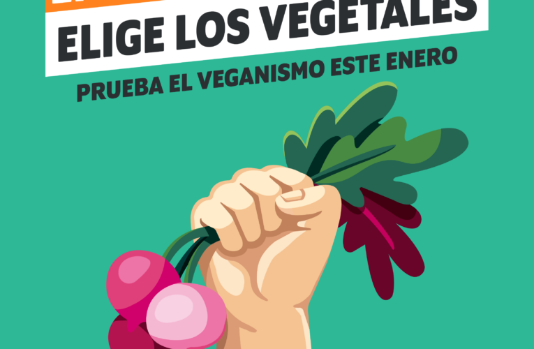 Comenzó Enero Vegano: campaña invita a las personas de México a probar la alimentación basada en plantas