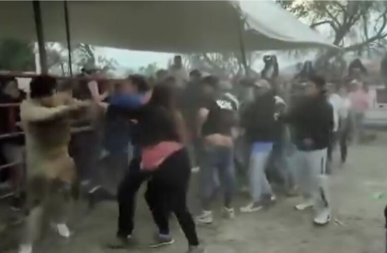 Inician pelea campal por atrapar a un cerdito en Caña Grande, Hidalgo