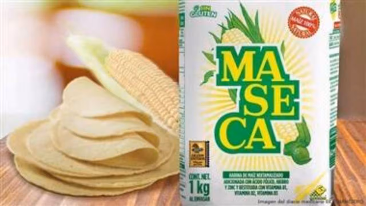 Maseca no subirá el precio de la harina de maíz, revela AMLO