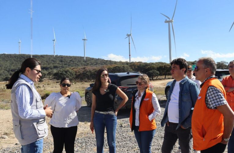 Llama Laura Ballesteros al Gobierno federal a trazar ruta de transición urgente hacia las energías limpias