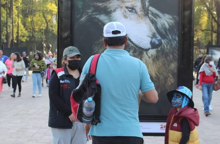 Gran éxito tiene la exhibición fotográfica “Esto es Tamaulipas” en el Bosque de Chapultepec