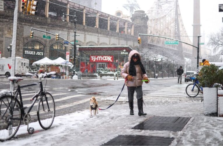 Vuelos cancelados y caos de transporte por tormenta de nieve en Nueva York