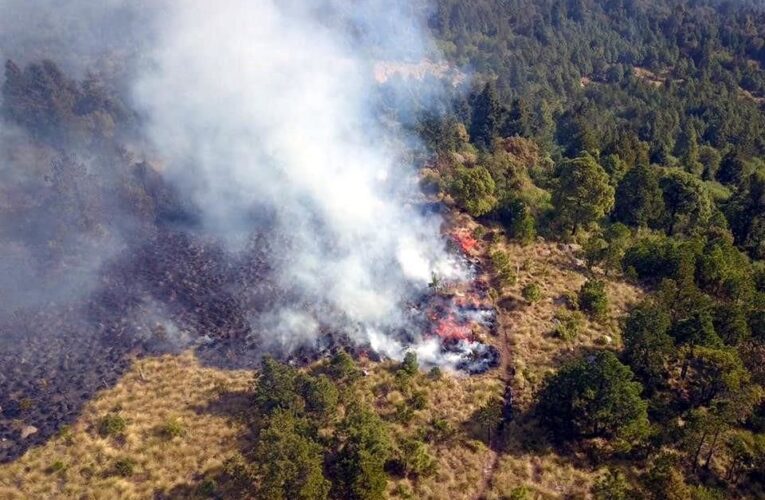 LAS ELEVADAS TEMPERATURAS MANTENÍAN ACTIVOS 120 INCENDIOS FORESTALES EN 19 ESTADOS; SÓLO 42 HAN SIDO APAGADOS