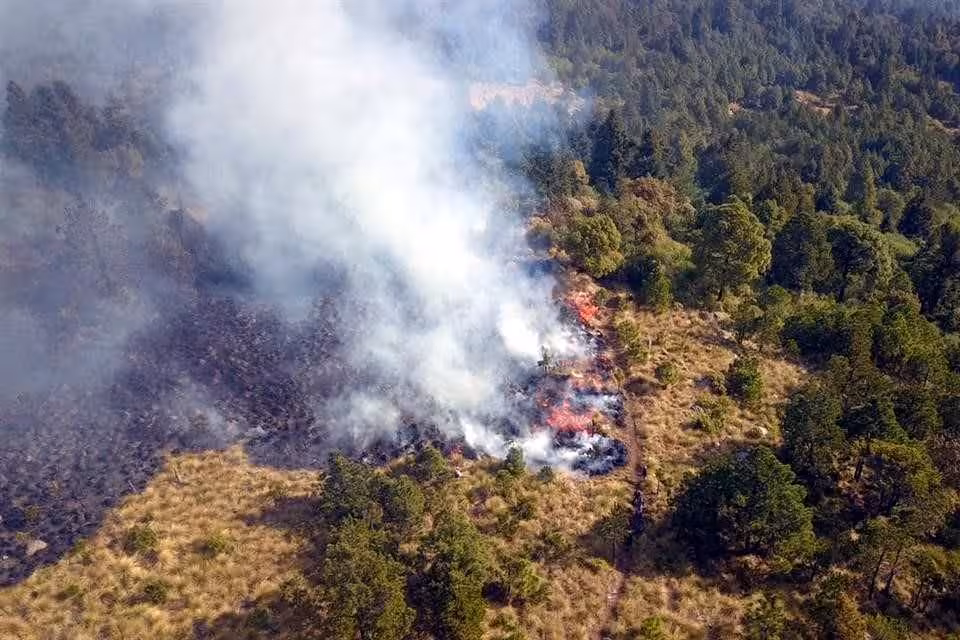 LAS ELEVADAS TEMPERATURAS MANTENÍAN ACTIVOS 120 INCENDIOS FORESTALES EN 19 ESTADOS; SÓLO 42 HAN SIDO APAGADOS