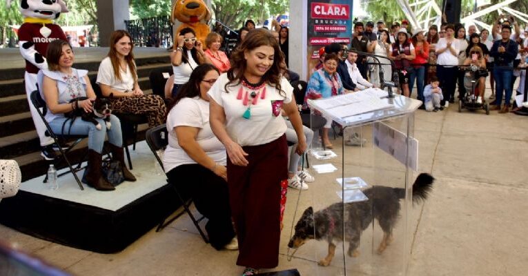 Brugada va por maltratadores de animales y penas más severas en CDMX