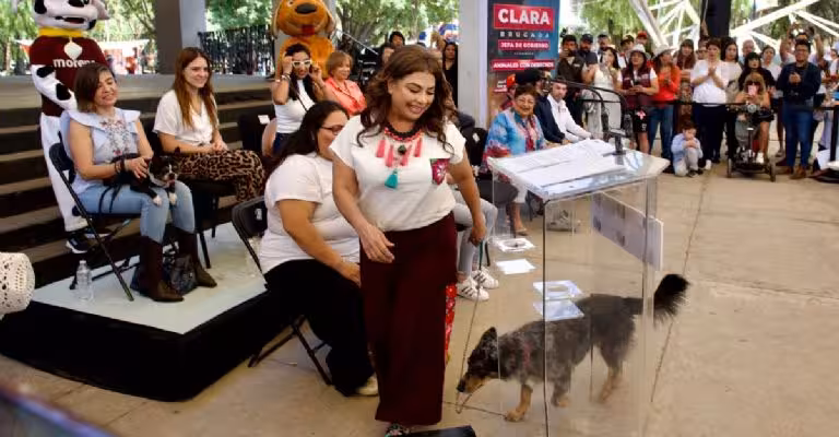 Brugada va por maltratadores de animales y penas más severas en CDMX