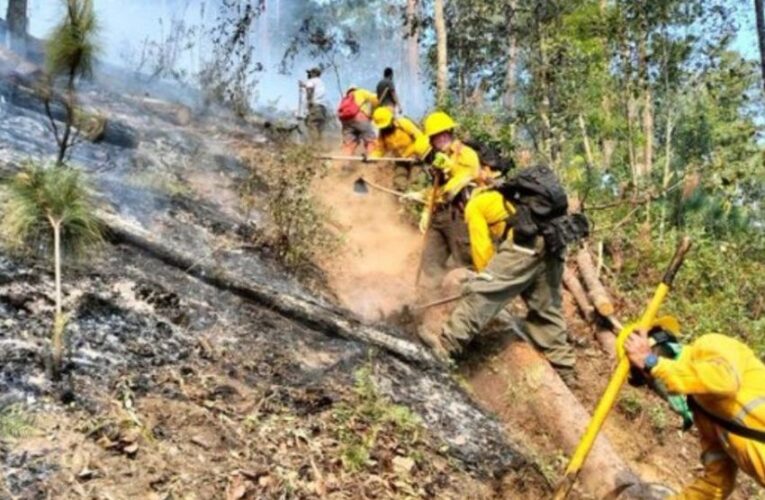 Hay 116 incendios activos en el país; López Obrador confirma 4 muertos