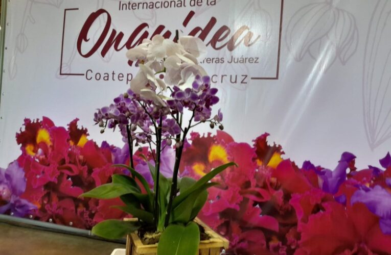 ADO INVITA A DISFRUTAR EL FESTIVAL INTERNACIONAL DE LA ORQUÍDEA COATEPEC 2024