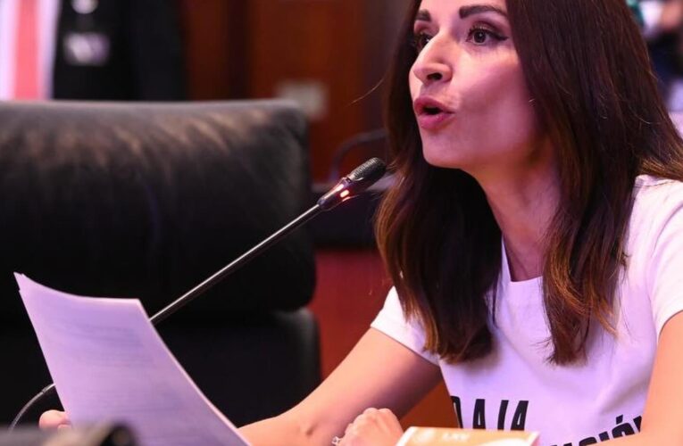 Exijo una respuesta pública a la población y un protocolo de actuación inmediata ante la contaminación del agua en la Alcaldía Benito Juárez: Laura Ballesteros