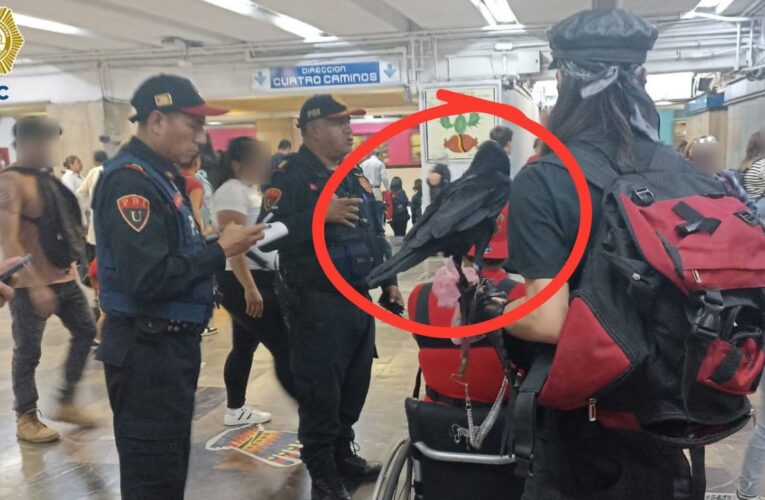 Desalojan a dos usuarios del Metro por transportar un cuervo