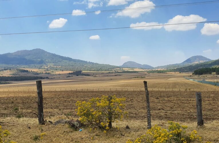 Evitar cambios de uso de suelo y trabajo en unidad para poder producir agua en sus bosques solicitan comuneros de la Meseta Purépecha