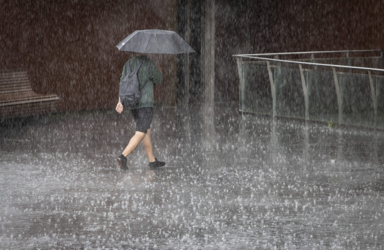 Impulsa diputado del PVEM instalar sistemas de captación de lluvia para consumo humano