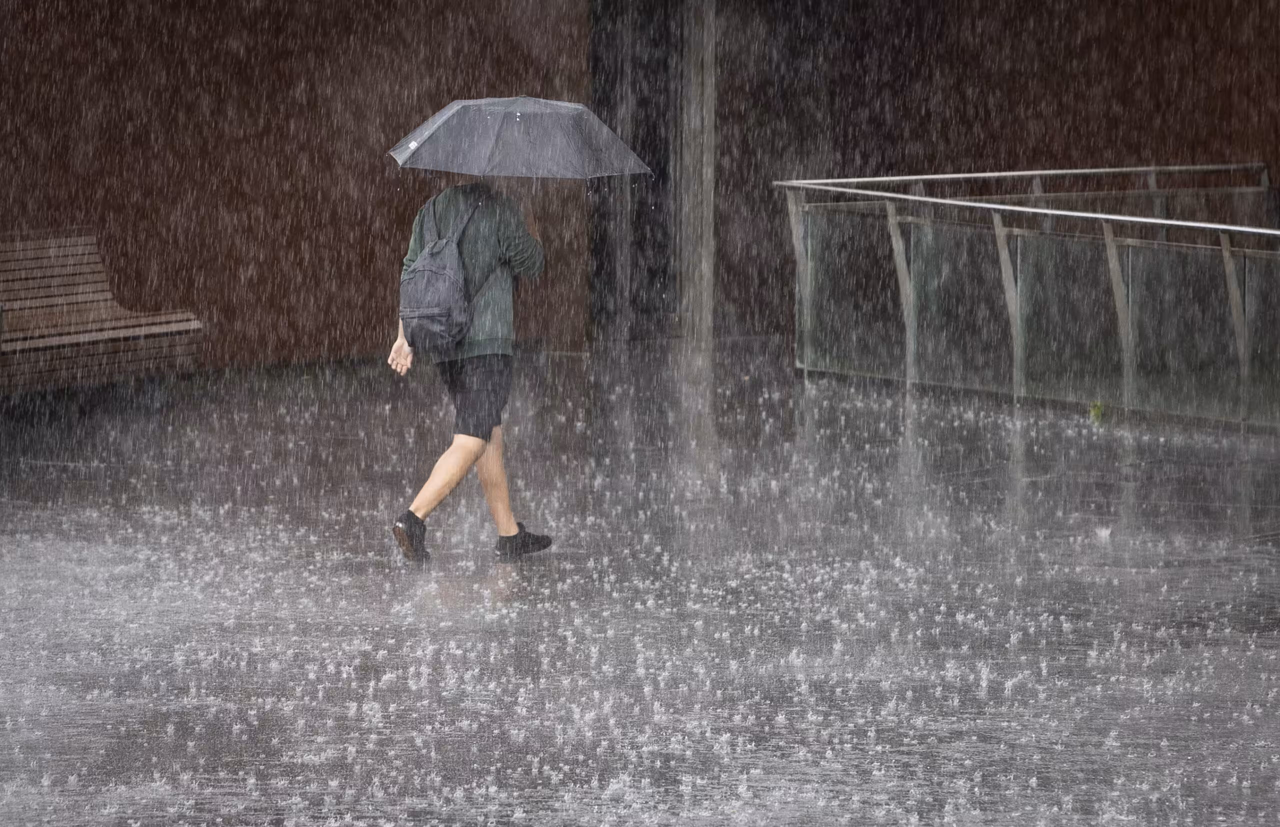 Impulsa diputado del PVEM instalar sistemas de captación de lluvia para consumo humano
