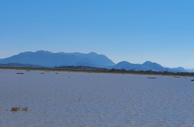 Sólo un Decreto Presidencial como zona de Restauración Ecológica podrá salvar al lago de Cuitzeo