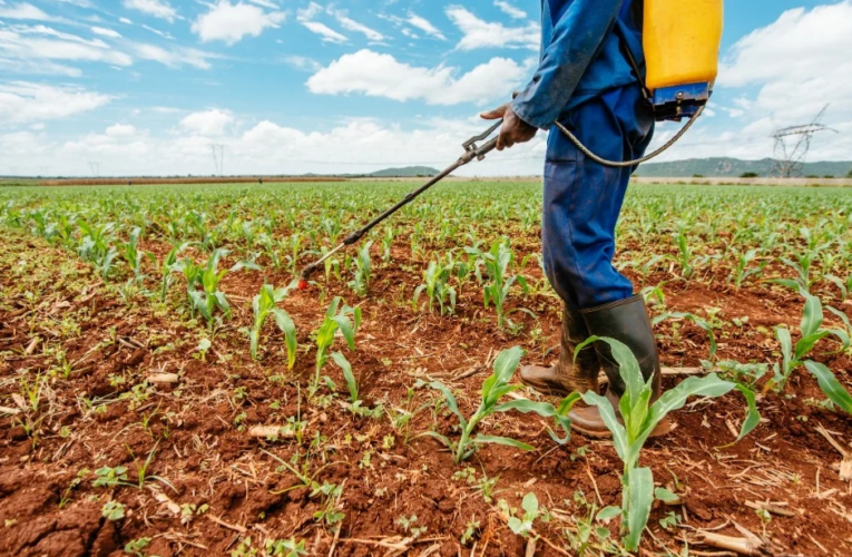 Decisión del Gobierno de posponer uso del glifosato abre camino para hacer más productivo al campo, reconocen fabricantes de agroquímicos