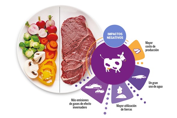 Comer menos alimentos de origen animal reduce daños al planeta, UNAM