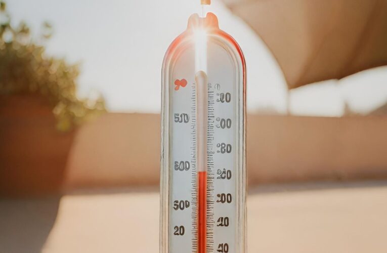 En dos meses 48 personas murieron en México por las intensas olas de calor