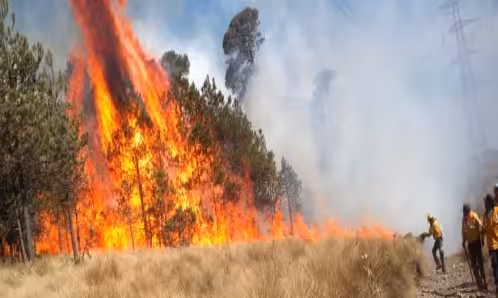 Achacan a recorte presupuestal en CONAFOR, incapacidad de atención a ola de incendios forestales