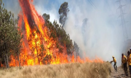 Achacan a recorte presupuestal en CONAFOR, incapacidad de atención a ola de incendios forestales