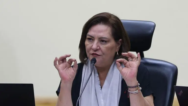 INE y OEA pactan la observancia de las elecciones