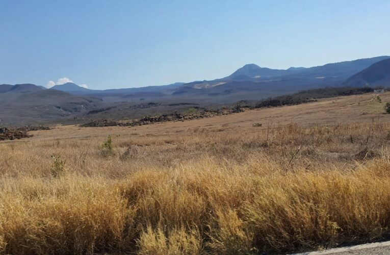 En Sierra Costa michoacana urgen a iniciar ya la etapa de reforestación; sin ella no habrá agua de lluvia que se filtre en el suelo