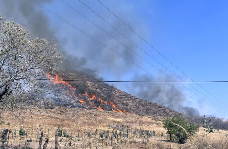 Está deforestado el 70% de la zona Sierra Costa de Michoacán; este año se han perdido 9 mil hectáreas por incendios en Coalcomán