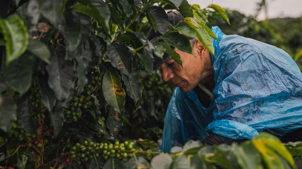 CEO de Nestlé en Latam prepara nueva inversión en México; campesinos acusan abusos de la trasnacional