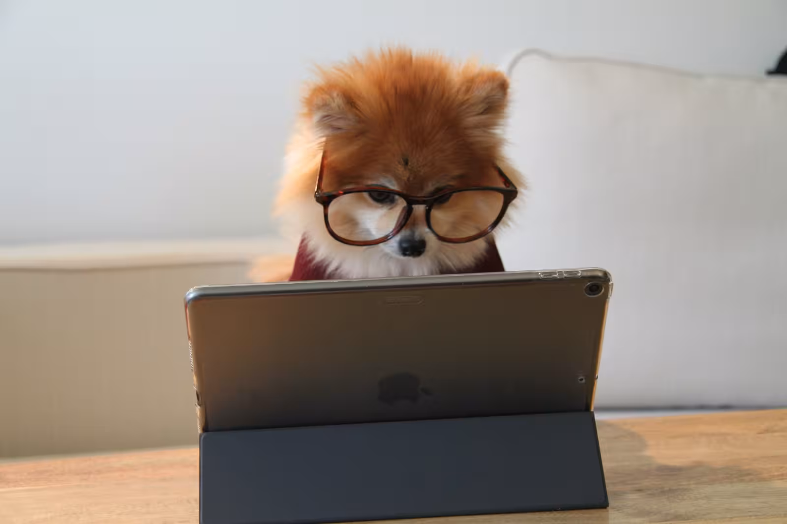 ¿Cuáles son las características que debe tener la computadora de un estudiante?