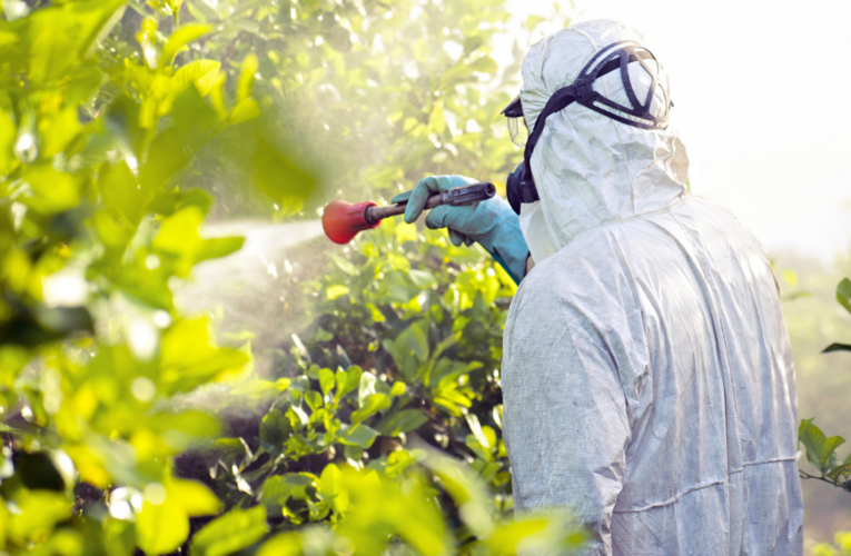 Se debe reforzar sanidad vegetal contra plagas para proteger producción de alimentos, aseguran productores de agroquímicos