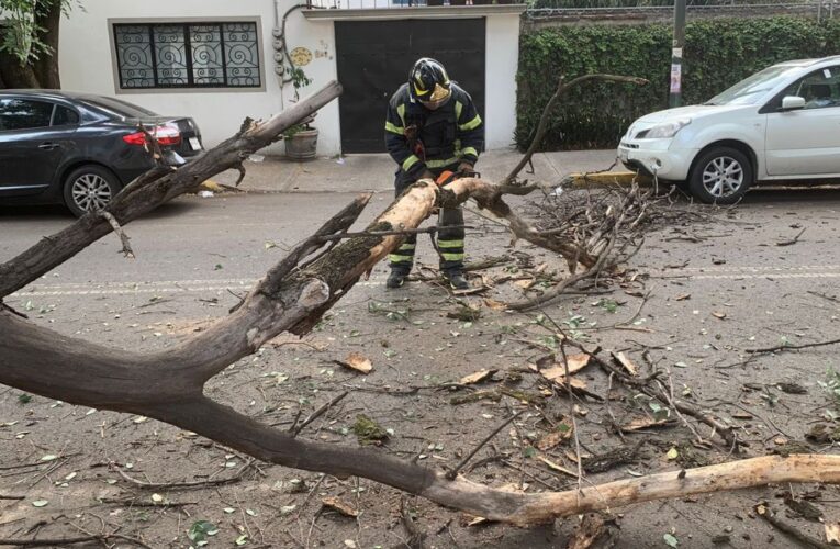 Activan alerta por vientos fuertes en CDMX