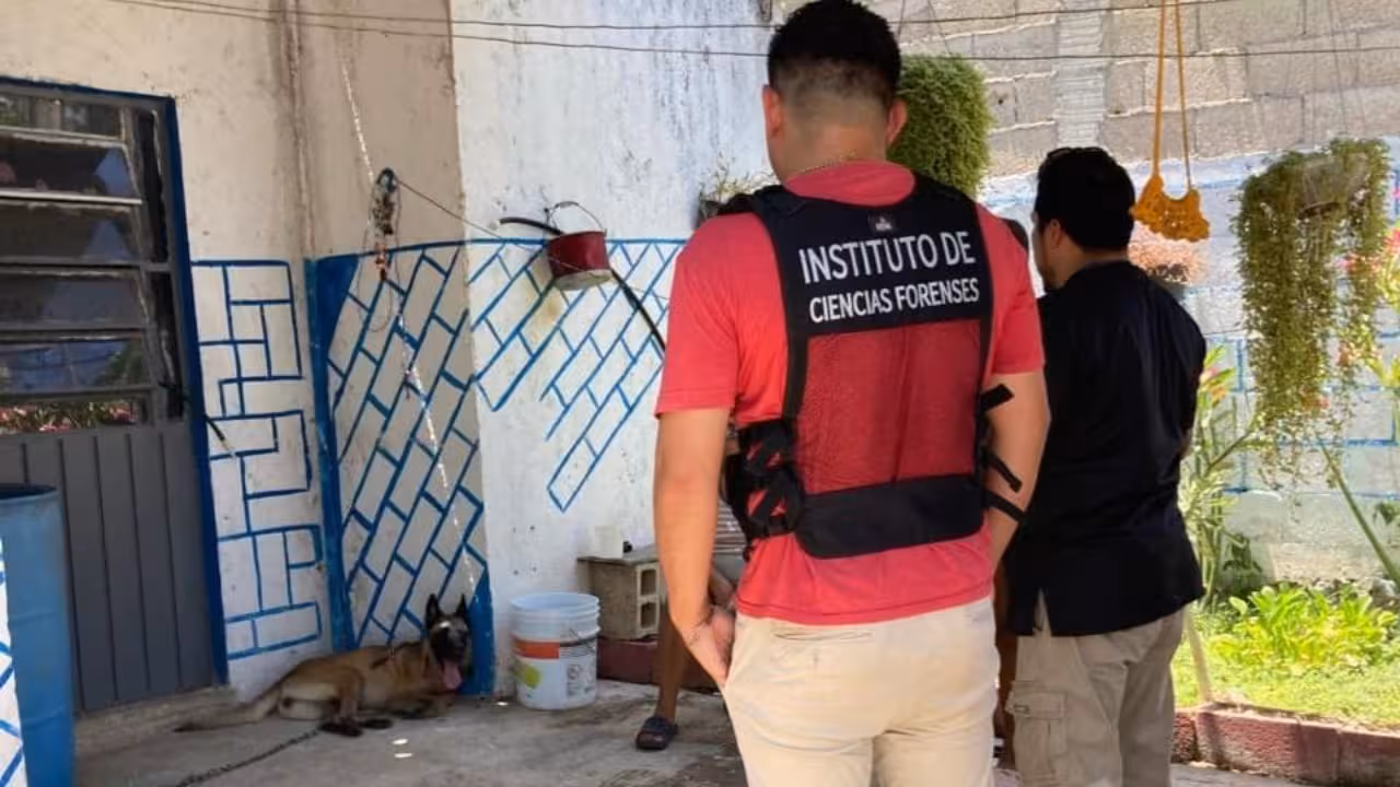 Arrojan agua hirviendo a perrita Lia, en Motul, Yucatán