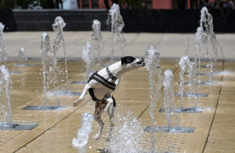 Van 61 muertes en México por altas temperaturas