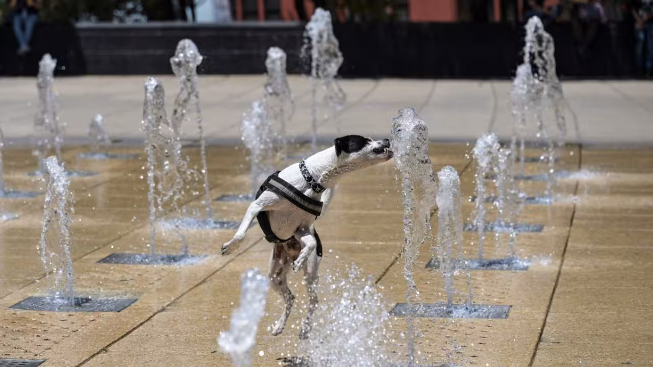 Van 61 muertes en México por altas temperaturas
