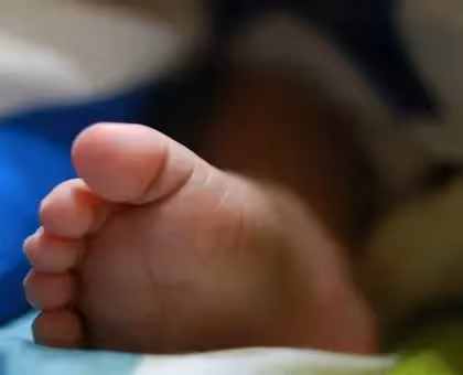 Se reducirá la población en México. Cae tasa de fecundidad. Vamos hacia el envejecimiento