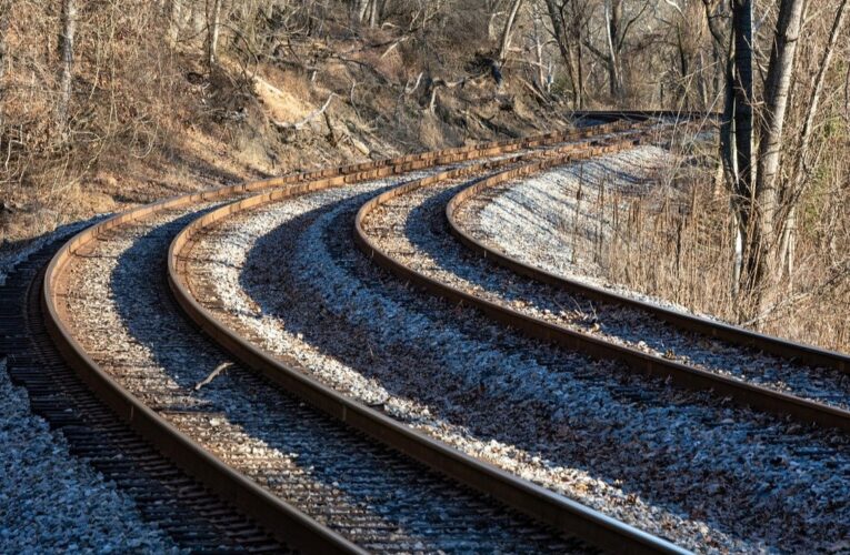 Mujer salva a su hijo de ser arrollado por tren; ella muere