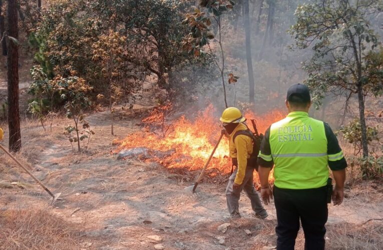 Existen indicios que incendios forestales de Valle de Bravo fueron provocados, revela director de PROBOSQUE