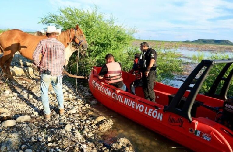 Rescatan a 30 caballos atrapados en isleta de la presa Cerro Prieto en NL