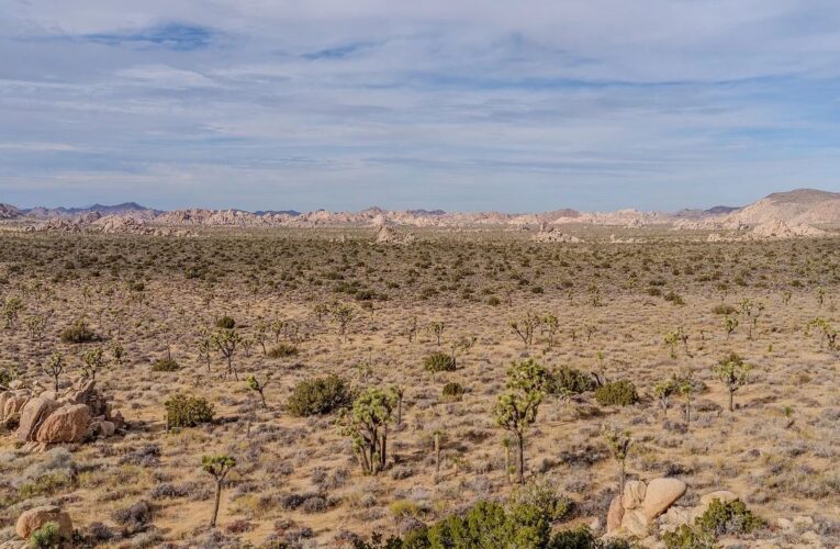 Localizan a tres migrantes que murieron deshidratados en el desierto de Sonora