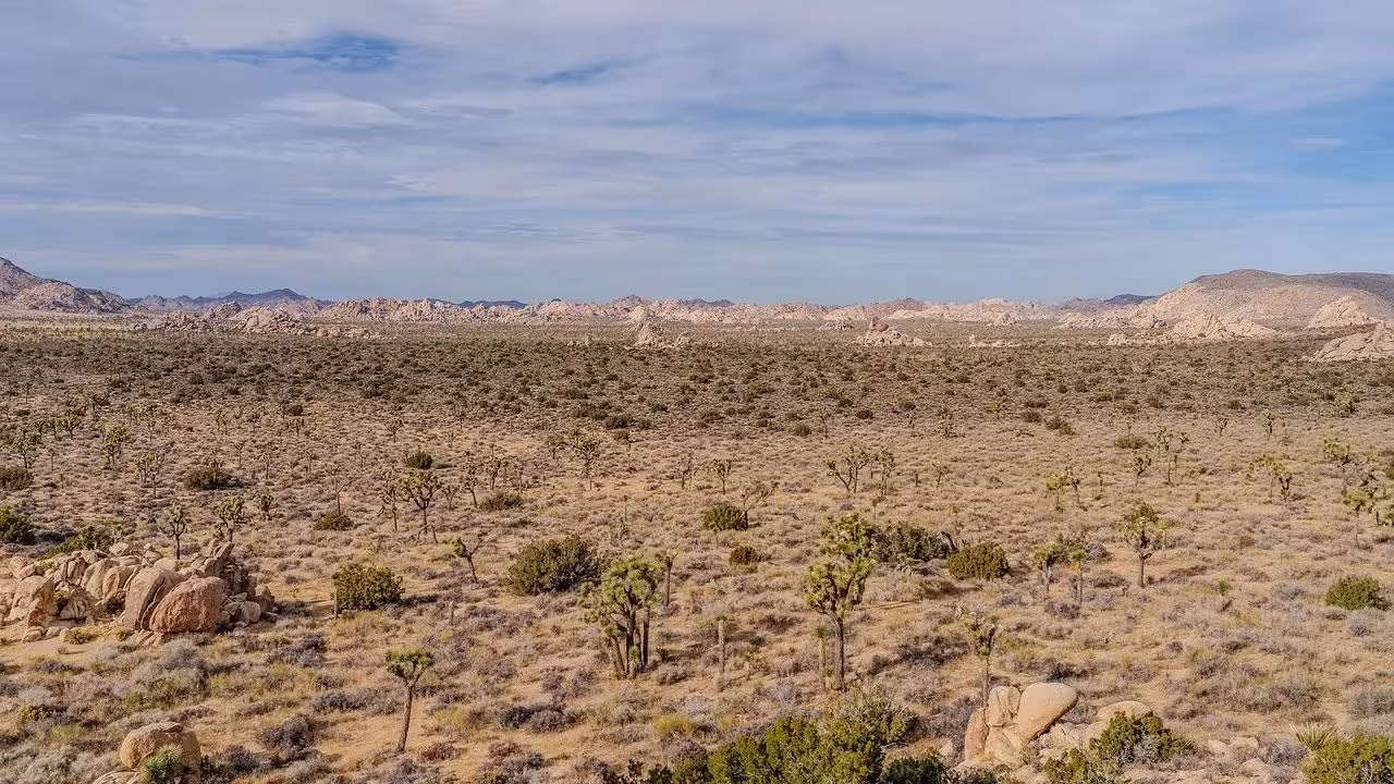 Localizan a tres migrantes que murieron deshidratados en el desierto de Sonora