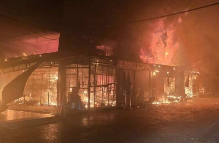 Incendio en mercado de mascotas en Bangkok deja cientos de animales muertos