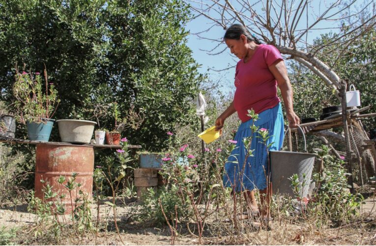 Lanza Rotoplas iniciativa para donar Tinacos a afectados por sequías