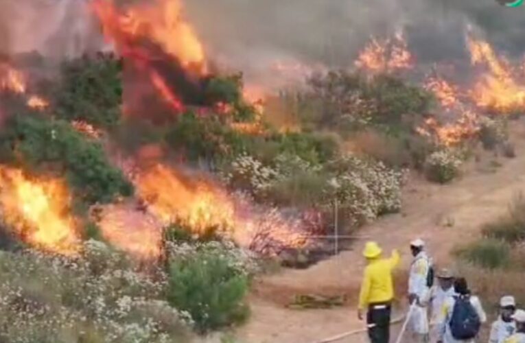 Incendio en Valle de Guadalupe afecta más de 800 hectáreas