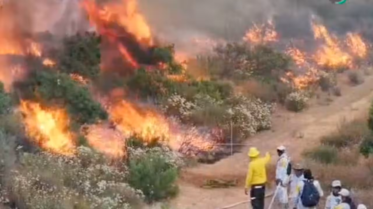 Incendio en Valle de Guadalupe afecta más de 800 hectáreas
