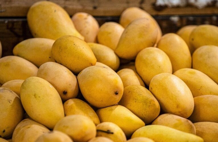 Pega al mango bloqueo de EUA al aguacate