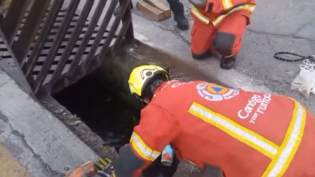 Logran rescatar a perrito atrapado en alcantarilla en Puebla