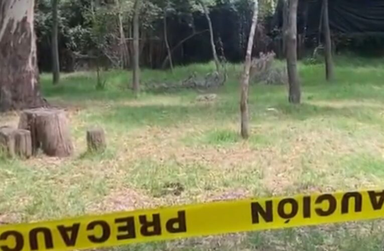 Encuentran otro perrito muerto en el Bosque de Nativitas; van 25 casos