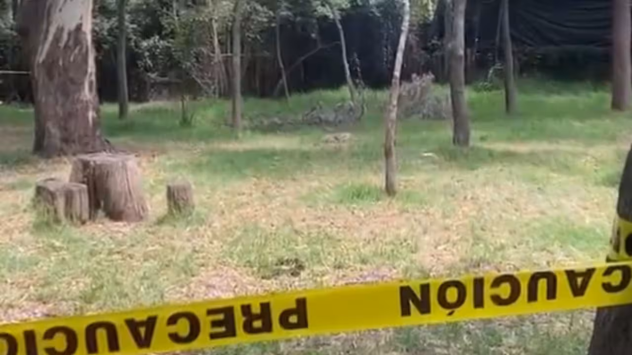Encuentran otro perrito muerto en el Bosque de Nativitas; van 25 casos