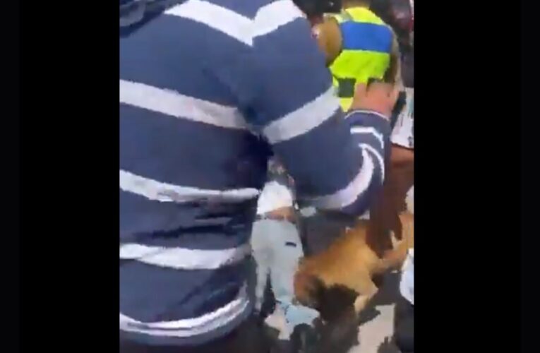 Perrito agarra a mordidas a ladrón que recibió paliza en Tecámac