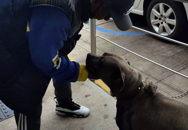 Lo atacó su padrastro con un puñal e hirió a su perro