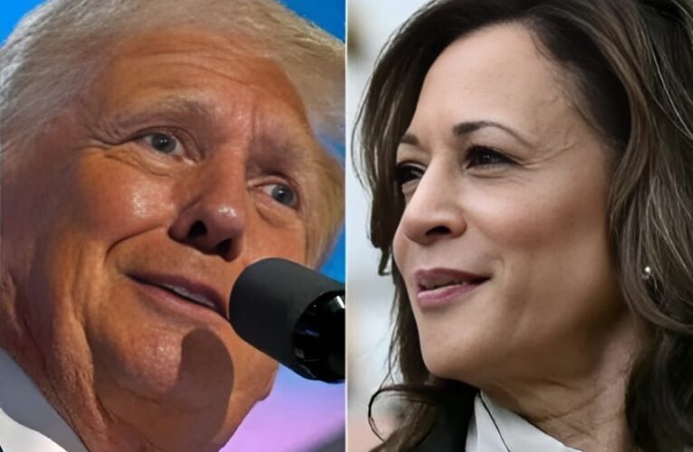 SUPERA KAMALA HARRIS A TRUMP EN INTENCIÓN DE VOTO: REUTERS/IPSOS